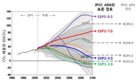 IPCC 5차 및 6차 평가보고서 시나리오별 이산화탄소 배출량