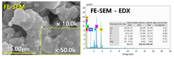 SDR 포집 Fly ash FE-SEM & EDX 사진