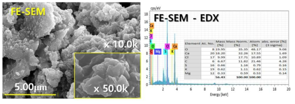 백필터 포집 Fly ash FE-SEM & EDX 사진