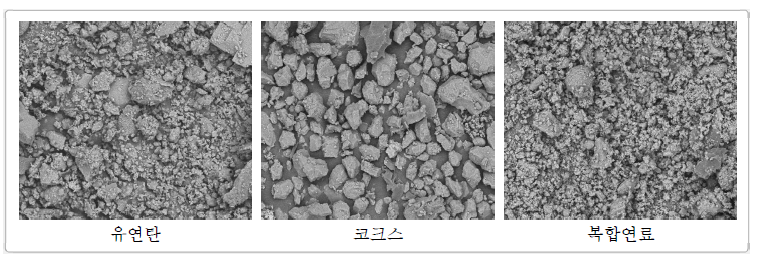 사용 연료별 연소재의 입형(SEM image)