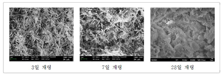 친환경 고화재의 재령별 수화생성물 결정상