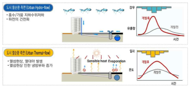 도시의 열순환과 물순환의 문제