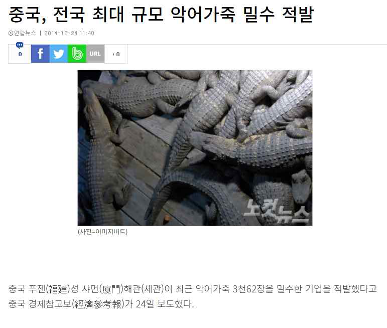 중국에서 악어가죽 밀수 적발 기사(2014.12.24., 노컷뉴스)
