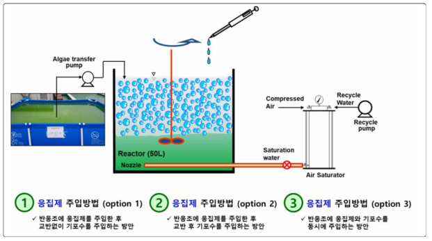 Schematic diagram of algae removal experiment by coagulant injection method