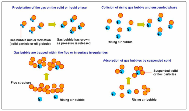 Schematic illustration of physical mechanism of combination between bubble and floc