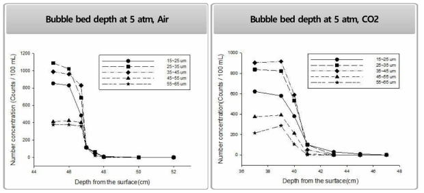 Bubble bed depth according to the variety of gas