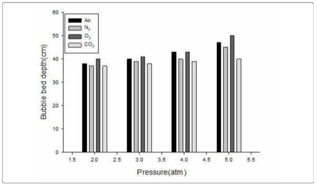 Bubble bed depth of Air and CO2 at different pressure conditions