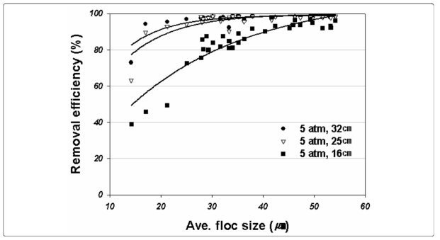 Relationship between floc size and removal efficiency at different bubble bed depth (pressure: 5 atm, hydraulic loading rate: 7 m/hr)