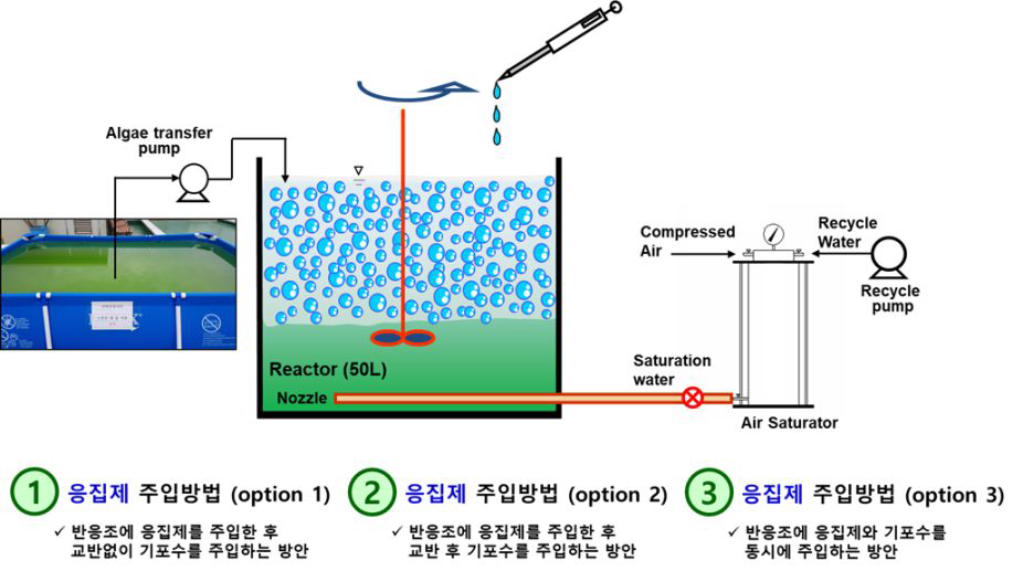 Schematic diagram of algae removal experiment by coagulant injection method