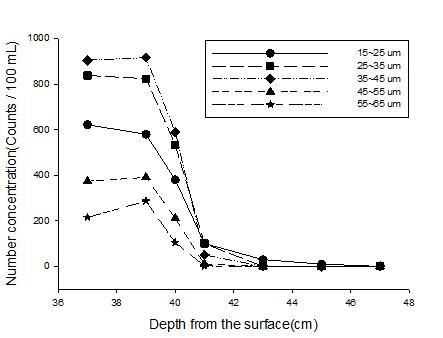 Bubble bed depth at 5 atm, CO2