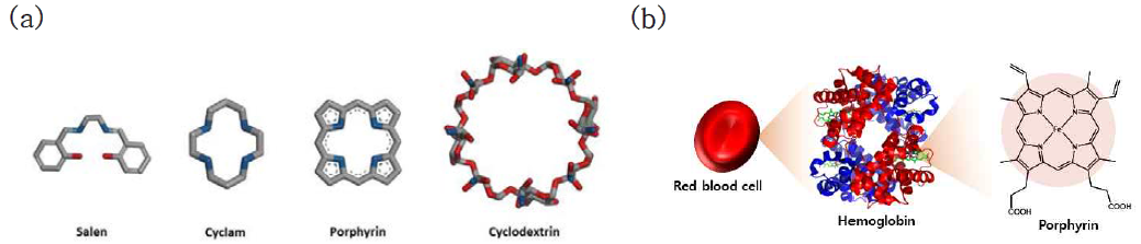 (a) 다양한 종류의 자연생태 기능 모방 분자. (b) 헤모글로빈에 포함된 포피린를 나타내는 도식