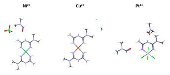 금속(Ni2+, Cu2+, Pt4+)이 킬레이트 된 메트포르민 분자 모양