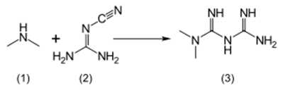 Metformin 합성 메커니즘