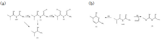 Metaformin 분해 메커니즘. (a) Chlorination. (b) Ozonation