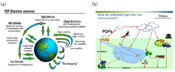 POPs의 순환. (a) POP migration processes. (b) POPs의 환경 유입 과정