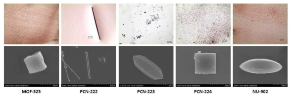 합성된 porphyrinic MOF의 Microscopy image와 SEM image