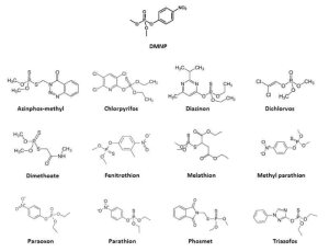 농약 유사화합물로 설정된 DMNP와 다른 유기인계 농약의 분자구조