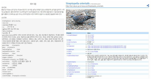 오른쪽의 멧비둘기 LOD를 실제 웹페이지로 불러온 모습