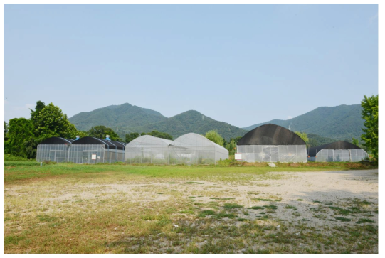 고려대학교 부설 덕소농장 곤충 사육시설 전경