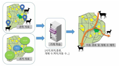 시간의 흐름에 따른 서식지 변화 및 이동 경로 분석