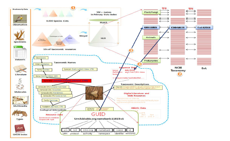 국제멸종위기종 연관 데이터 통합 개념도
