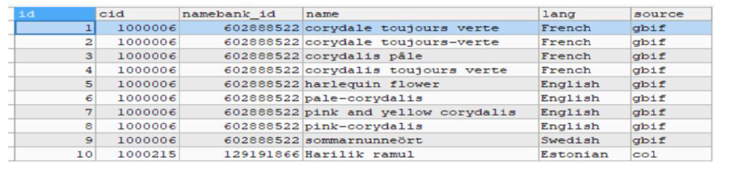 일반명 테이블(common_names)의 데이터 예제