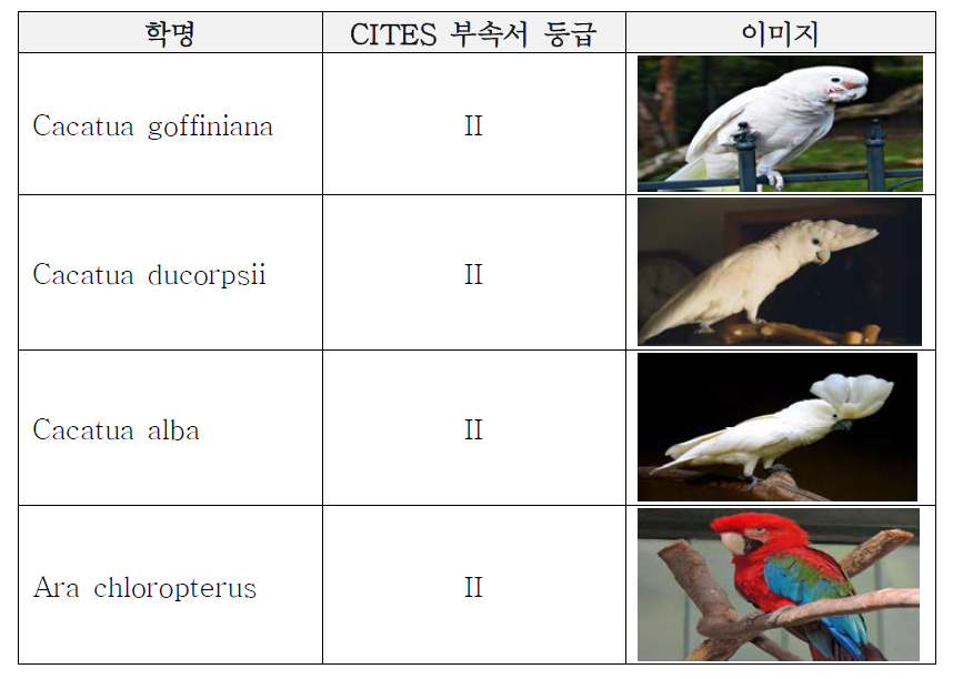 머신러닝 학습용 이미지 제공 관련 생물종