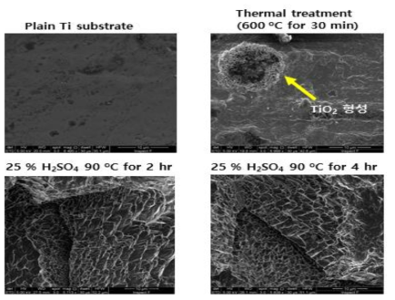 H2SO4 etching test 및 Ti substrate 표면 morphology 확인