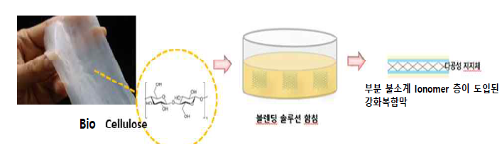 Bio cellulose 지지체 기반 강화복합 막 제조 컨셉
