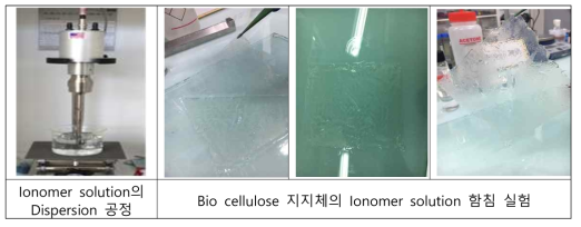 Ionomer solution 제조 및 Bio cellulose 지지체 함침