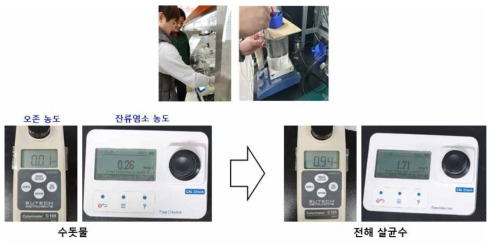 전류효율 측정 셀 구성 및 산화제 발생량