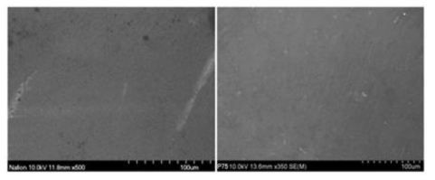 FE-SEM Analysis (left) Nafion 212, (right) composite membrane