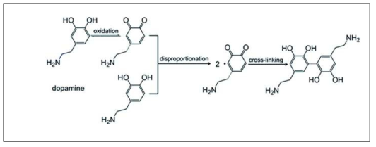 Dopamine 및 Polydipamin