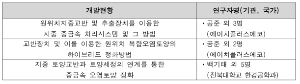 원위치 지중교반 및 주입/추출정을 이용한 중금속 정화기술 개발 현황