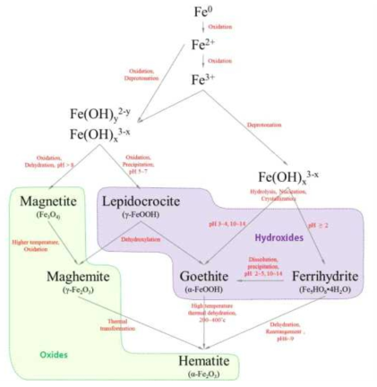 철 산화물의 흡착 및 변환과정 모식도 (Schwertmann, U. and Cornell, R. M., 2000)