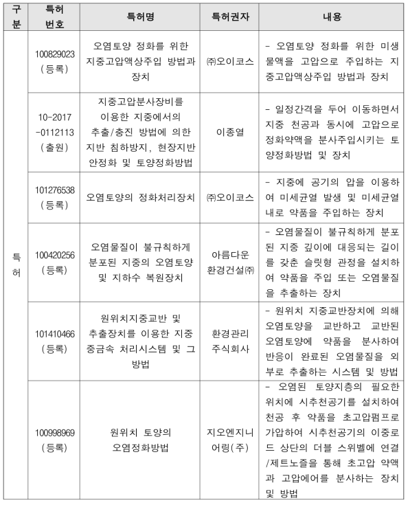 국내 지중 원위치 정화기술 지식재산권 현황