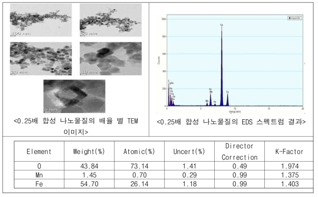 유기물 개질 전 나노물질의 TEM-EDS 분석 결과(0.25배)