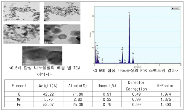 유기물 개질 전 나노물질의 TEM-EDS 분석 결과(0.5배)