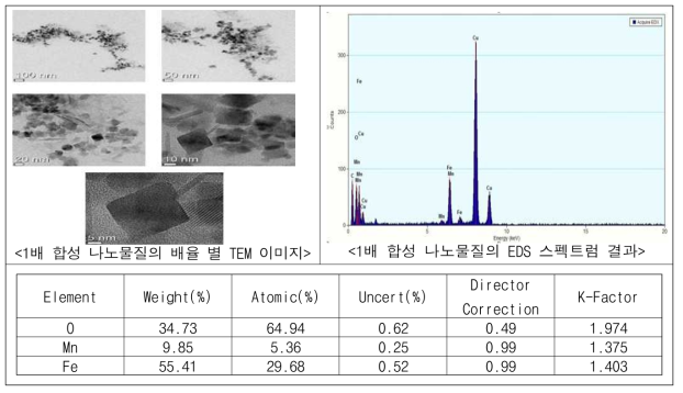 유기물 개질 전 나노물질의 TEM-EDS 분석 결과(1배)