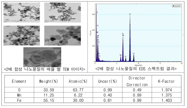 유기물 개질 전 나노물질의 TEM-EDS 분석 결과(2배)