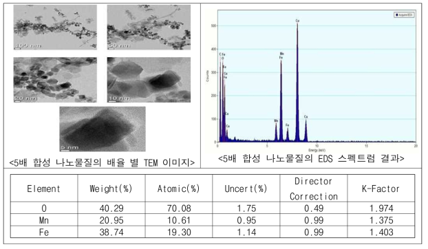 유기물 개질 전 나노물질의 TEM-EDS 분석 결과(5배)