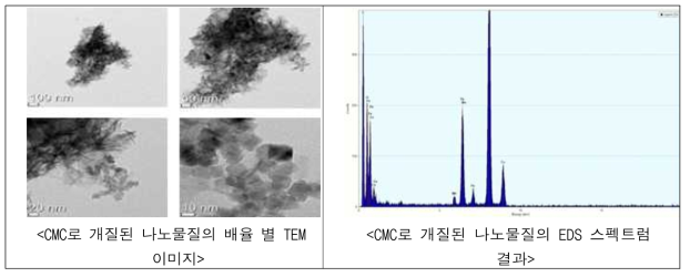 CMC로 개질된 나노물질의 TEM-EDS 분석 결과