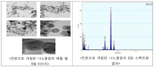 전분으로 개질된 나노물질의 TEM-EDS 분석 결과