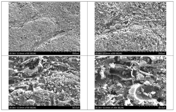 H사 폐활성탄 시료의 주사전자현미경(SEM) 사진 (상좌 : x 100, 상우 : x 250, 하좌 : x 700, 하우 : x 1500)