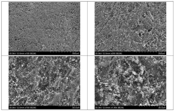 G-C 폐활성탄 시료의 주사전자현미경(SEM) 사진