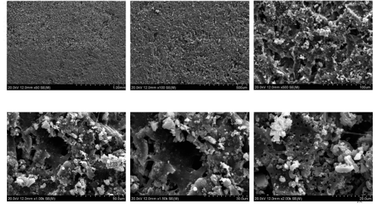 재생후 활성탄 표면 SEM 사진 (좌상으로부터 50, 100, 500, 1000, 1,500, 2,000배)