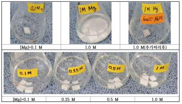 담지용액 Mg 농도에 따른 세라믹 필터의 표면 안정성 실험. raw 필터를 0.01-1 M의 서로 다른 Mg용액에 24시간 담지 후(위), Mg-코팅된 필터를 50 ppm의 Cu 용액에서 24 시간 흡착 반응 후(아래)