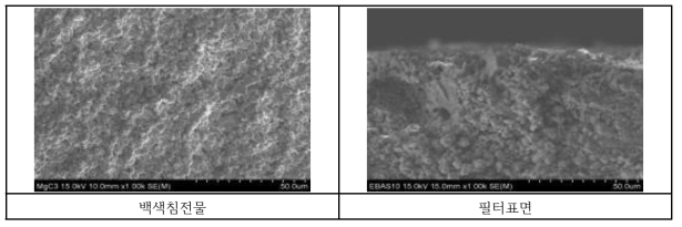 Mg 코팅 세라믹 필터의 투과실험 도중 발생한 침전물의 SEM 분석 결과
