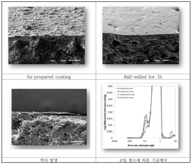 Mg 코팅 세라믹 필터의 단면 및 공극분석