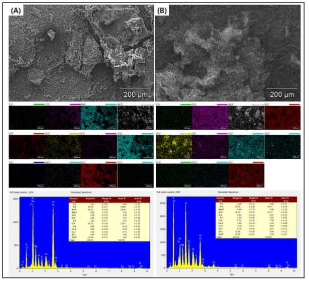 실폐수 제거 실험에 사용된 MgAl-LDO 코팅 필터의 SEM/EDS 결과